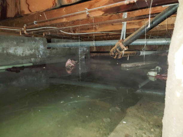 Best Water damage restoration experts  in Howards Grove, WI