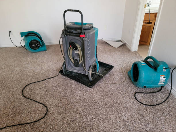 Best Flood restoration services  in Howards Grove, WI